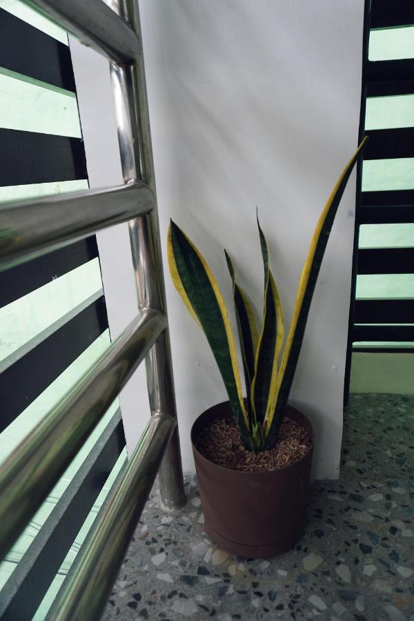 Cebu Backpackers Hostel Dış mekan fotoğraf